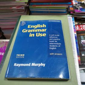 English Grammar in Use
