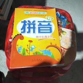 幼儿园可操作性学习新方案：拼音（2）
