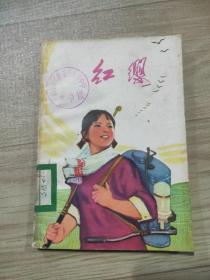 红缨