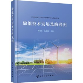储能技术发展及路线图 陈海生、吴玉庭 9787122374400
