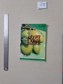 台湾青枣栽培技术