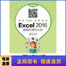 Excel 2016 数据处理与分析(微课版)