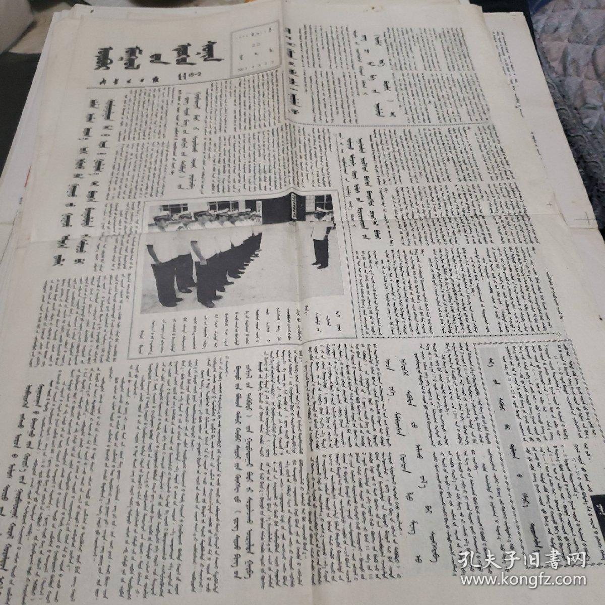 蒙文报纸呼伦贝尔日报等11份