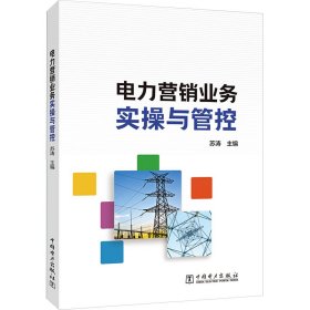 电力营销业务实操与管控 9787519881399 苏涛 中国电力出版社