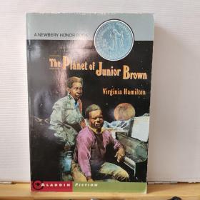 The Planet of Junior Brown（儒尼奥尔·布朗星球） 英文原版