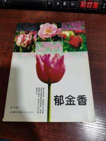郁金香