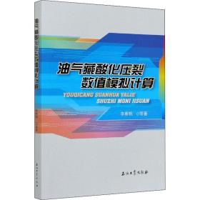 油气藏酸化压裂数值模拟计算 能源科学 李勇明 等 新华正版