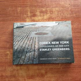 Codex New York typologies of the city