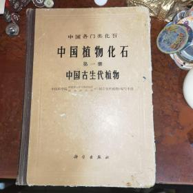 中国各门类化石 中国植物化石 第1册 中国古生代植物