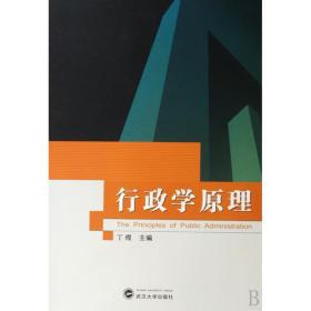 全新正版 行政学原理 丁煌 9787307059849 武汉大学