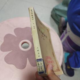 鲁滨逊漂流记