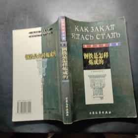 钢铁是怎样炼成的