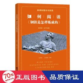 如何阅读钢铁是怎样炼成的 文教学生读物 吴欣歆,张萍萍,张灵璐