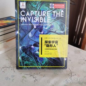 中国大科学装置出版工程：探索宇宙“隐形人”——大亚湾反应堆中微子实验