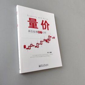 量價 典型股票盤口分析