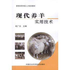 现代养羊实用技术 养殖 欧广志 编 新华正版