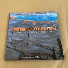 Portrait of Yellowstone: Land of Geysers & Grizzlies