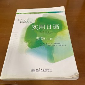 高等教育自学考试日语专业系列教材：实用日语（初级）（上册）