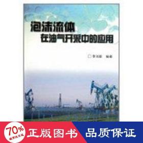 泡沫流体在油气开采中的应用 能源科学 李兆敏  新华正版