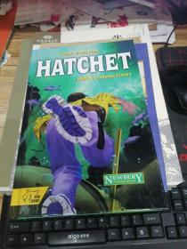 Hatchet: With Connections