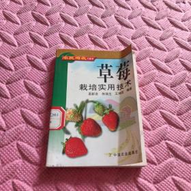 草莓栽培实用技术——农民增收口袋书