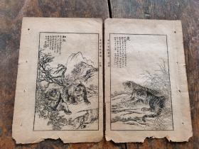 版画】民国影印本《中外百兽画谱》一张1；版画栩栩如生；离合聚散，人不能免，书亦不能免。世间自有各种分飞，而重情者惜之，惜一刻便是一刻，惜一生便是一生。散页残本飘零久，不能成帙。百年以上故纸，不可轻弃也
