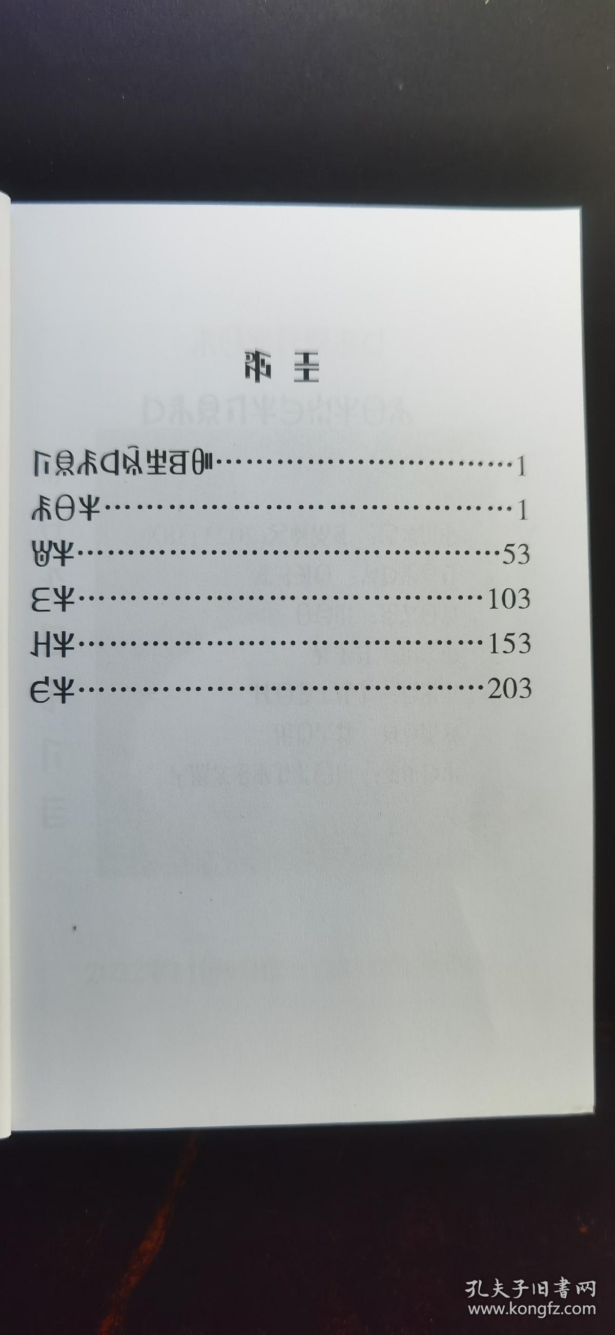 彝族书籍彝族历典20232027彝族日历彝文书