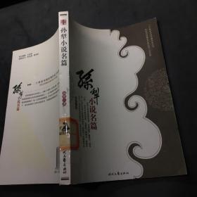 孙犁小说名篇：中国现代文学名家名篇书系上