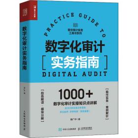 数字化审计实务指南 审计 程广华 新华正版