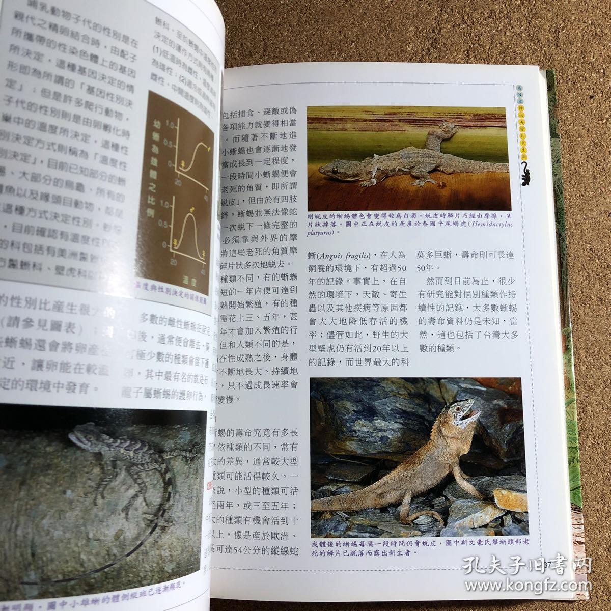 中国动物志 爬行纲 第二卷 有鳞目蜥蜴亚目 孔夫子旧书网