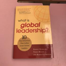 What Is Global Leadership: 10 Key Behaviors of Great Global Leaders [平装]【实物拍照现货正版】