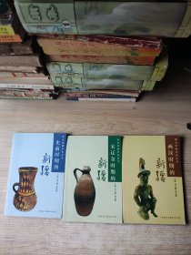 图说新疆历史丛书 两汉时期的新疆，宋辽金时期的新疆，史前时期的新疆(3本和售)