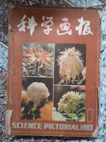 科学画报，1983年1-12期