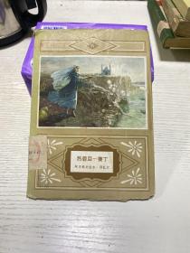熱碧亞——賽丁