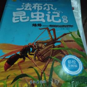 蛛蜂：聪明的捕蛛猎手（彩绘美图版）/法布尔昆虫记绘本