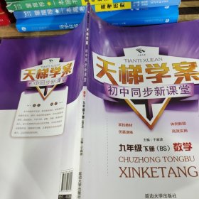 天梯学案初中同步新课堂九年级下册数学