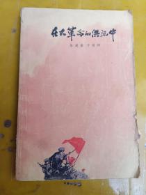 在大革命的洪流中