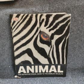 ANIMAL 动物大集合