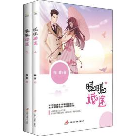 暖暖婚途(2册)梅萱三辰影库音像出版社