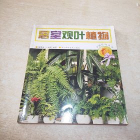 居室观叶植物