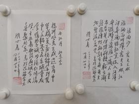 保真书画，阎世春信札诗词两页，内页尺寸30×21cm×2。