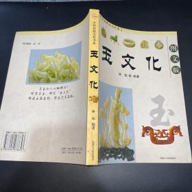 中华传统文化书系——玉文化（单本销售