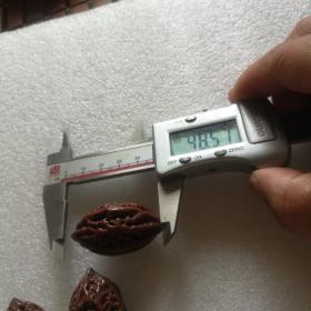 3个一棵树一起玩红的东北秋子41