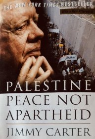 Palestine Peace Not Apartheid modern history英文原版