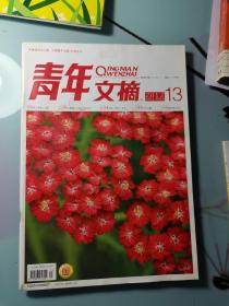 青年文摘2012.13