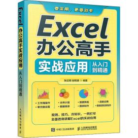 正版 Excel辦公高手實戰應用從入門到精通 張運明謝明建 9787115573254