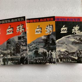 中国军队血战写真 血殇 血潮 血魂 全三册
