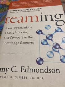 Teams That Learn