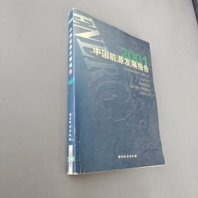中国能源发展报告.2001