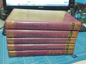 古本小说丛刊 第二十六辑  全5册  薛仁贵征辽事略、狄青初传、最娱情等10种